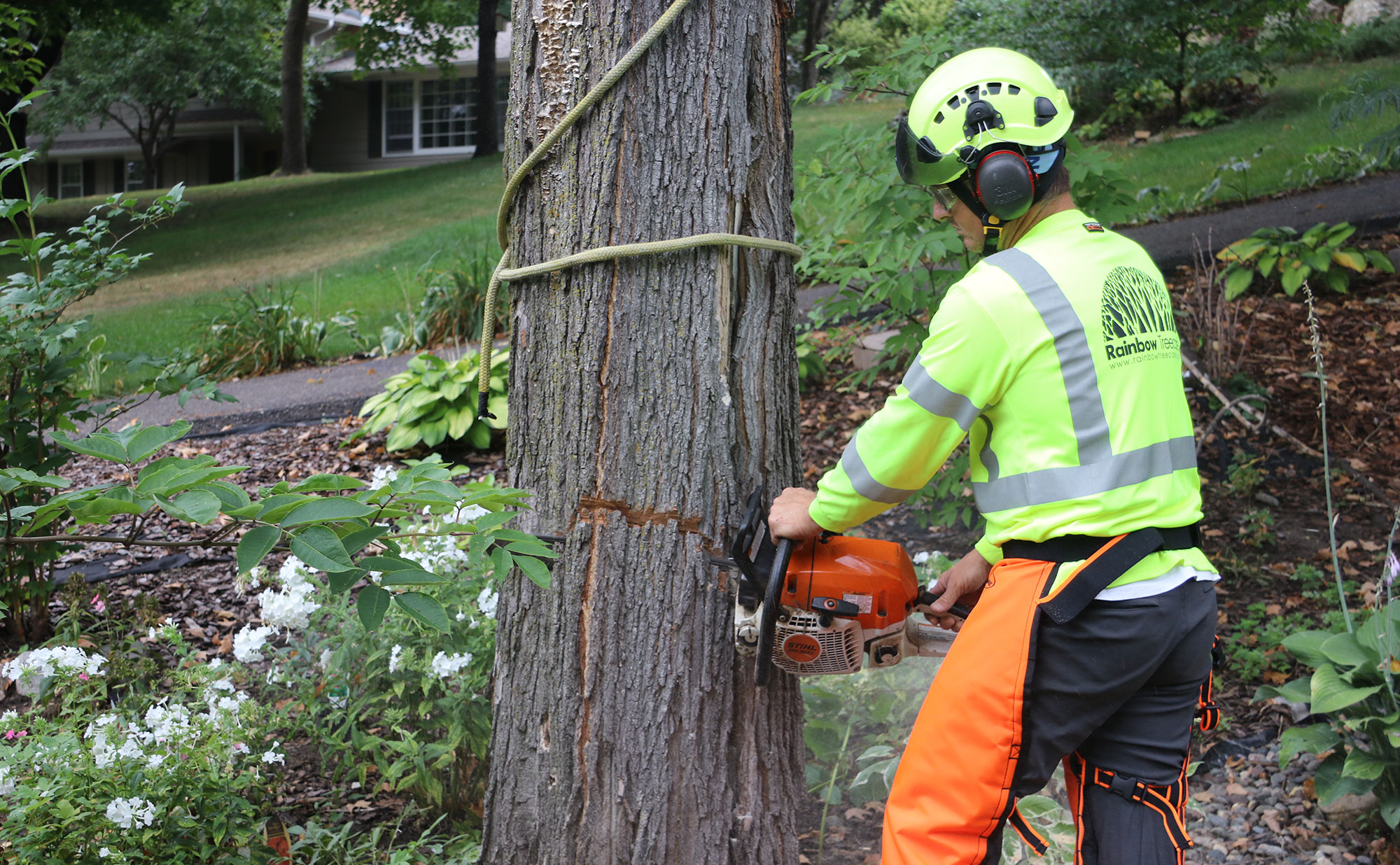 Emergency Tree Removal Service in Jackson MI Available 24/7