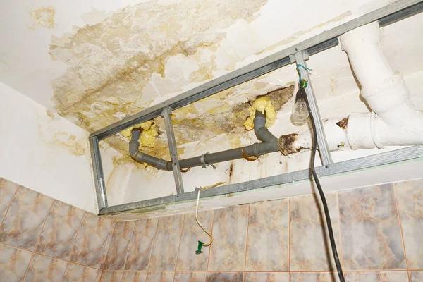 Affordable Water Damage Repair Services for Any Property