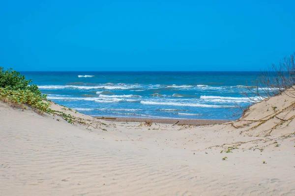 Spacious Rentals in South Padre Island for Large Groups
