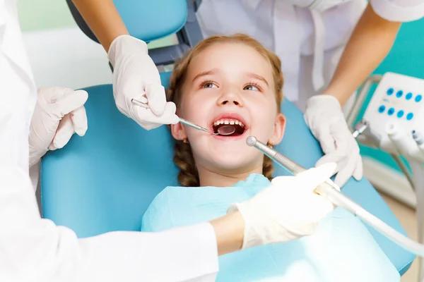 Essential Insights Into What a Dentist Looks for During Routine Dental Checkups