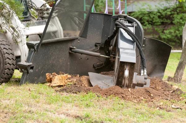 Reliable Tree Removal Service Mobile Near Your Location