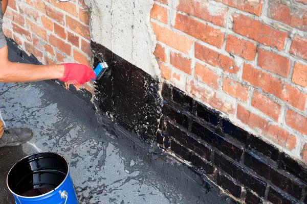 Reliable Explore Our Services for Crawlspace Protection
