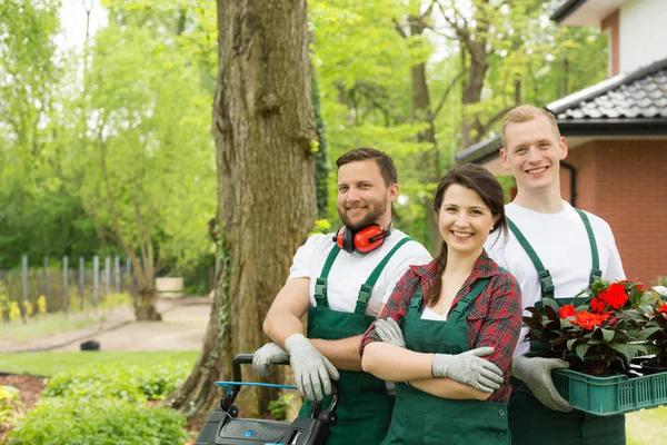 Your Guide to Beautiful Gardens with Landscaping Services in Winfield PA